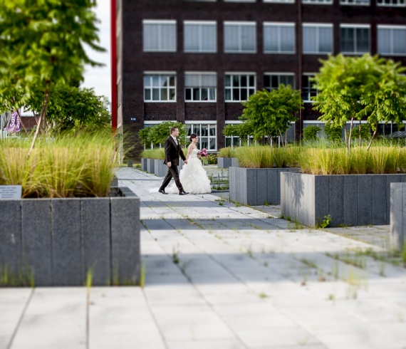 Hochzeitsfotograf Köln, Hochzeitsfotograf Niederrhein, Hochzeitsfotograf Düsseldorf